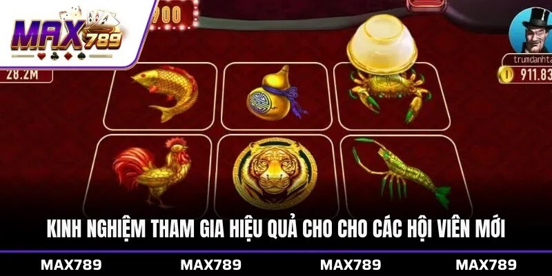 Kinh nghiệm tham gia hiệu quả cho cho các hội viên mới